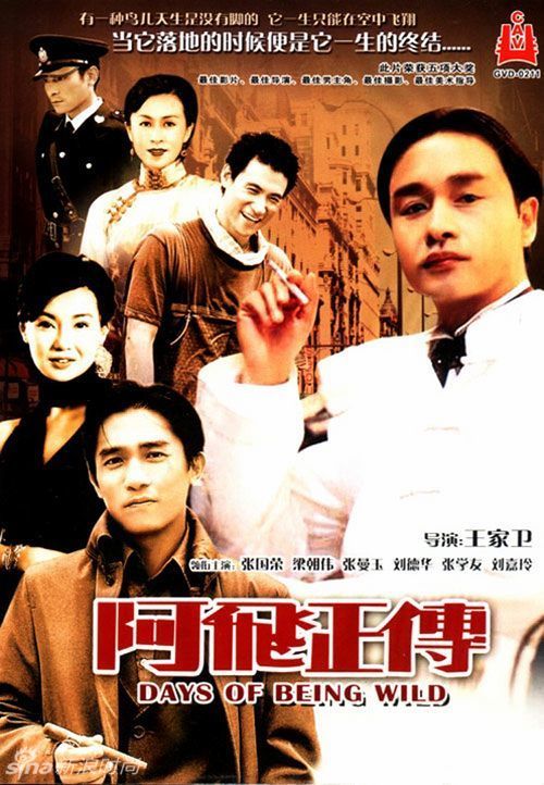 怎么买假的北爱尔兰